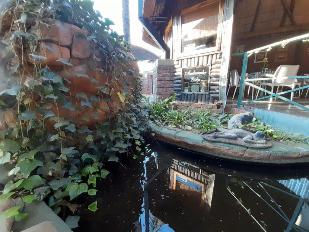 קימברלי Ambassador Lodge Kimberly מראה חיצוני תמונה